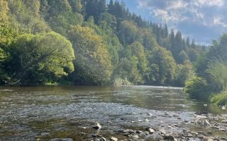 Teren de vânzare, 2.500 mp, Prisaca Dornei, zona Hurghiș, Câmpulung Moldovenesc - Poză 1