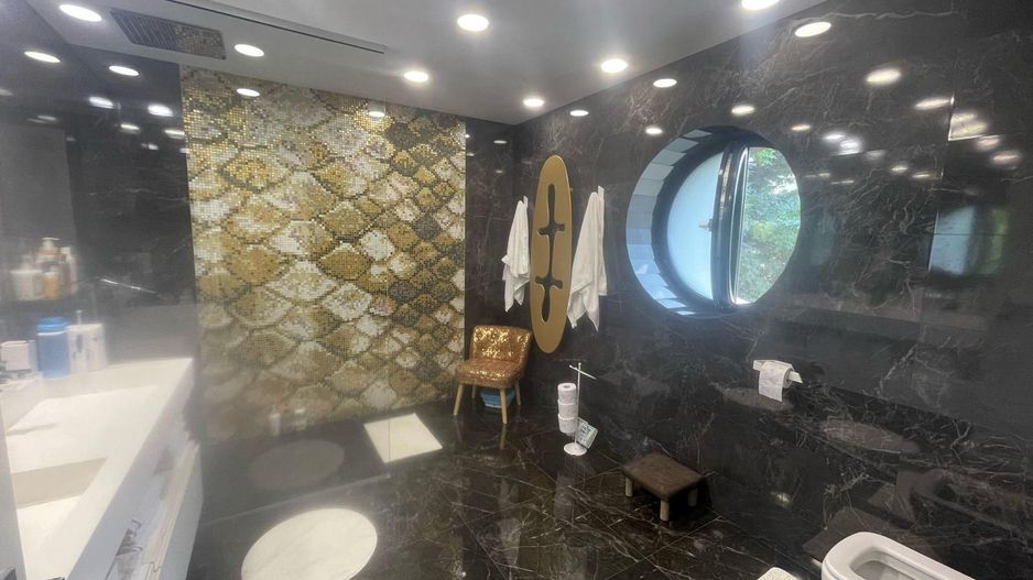 Vila de inchiariat in Herastrau \ Villas Rent in Herastrau area. - Poză 13