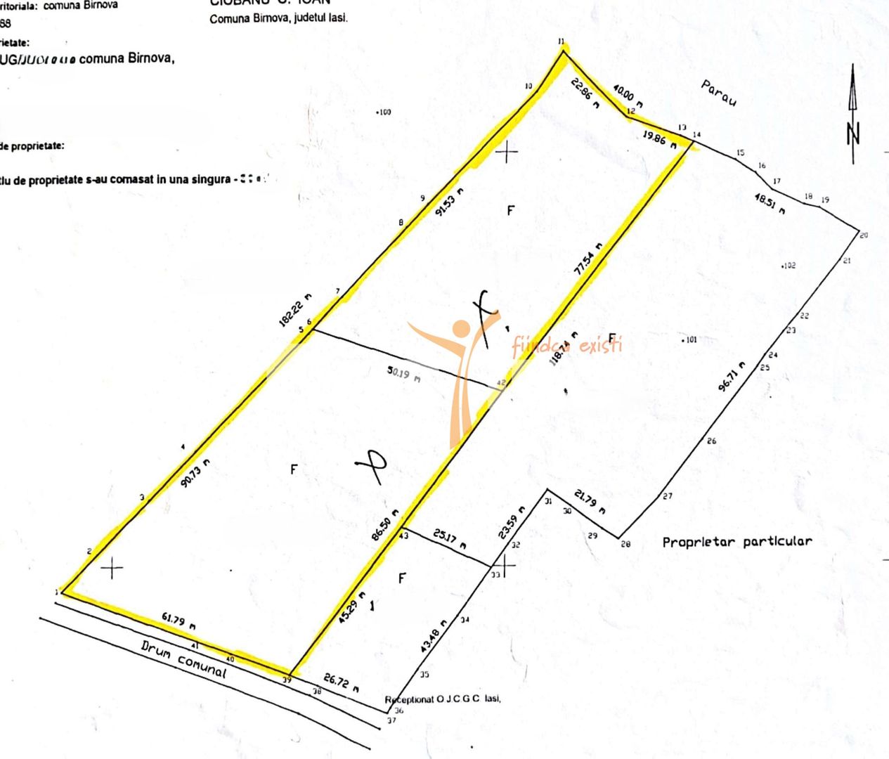 Teren intravilan 8000mp, Comuna Bârnova Iași - Schiță 3