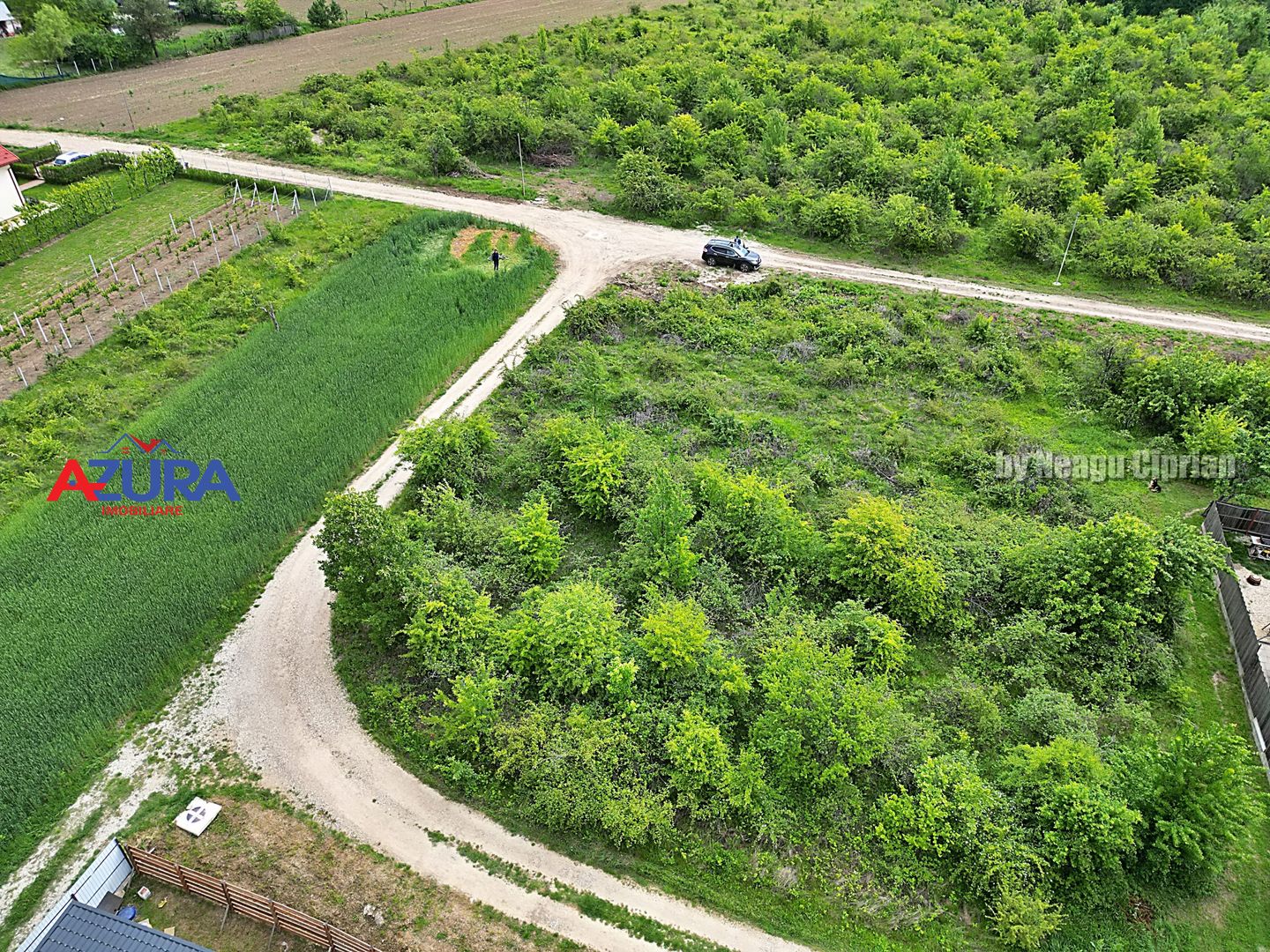 AZURA Imobiliare - Teren Mosoaia - Poză 6