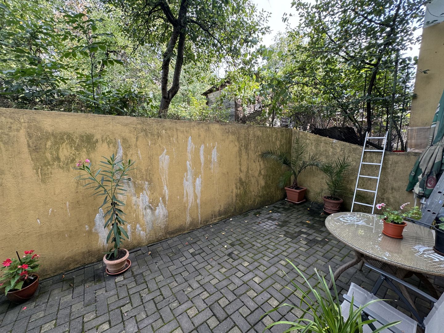 Clădire Multifuncțională de Vânzare în Târgu Mureș, Zona Gării - Poză 13