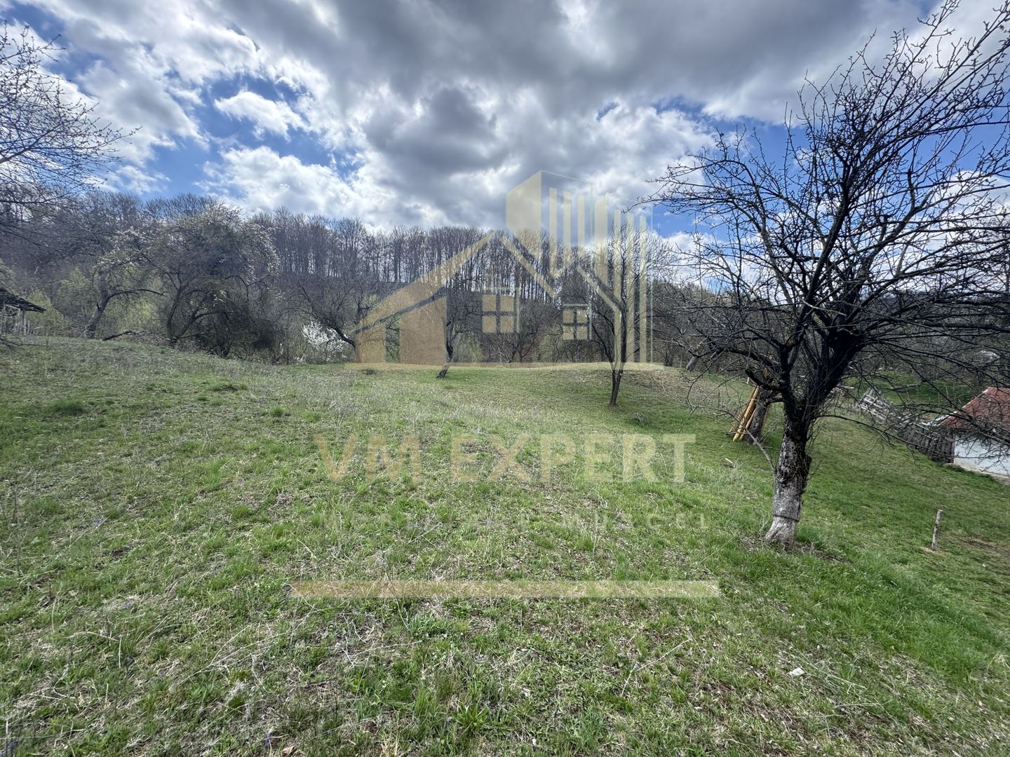 TEREN INTRAVILAN 4365 MP POENARII DE MUȘCEL  JUDEȚUL ARGES - Poză 11