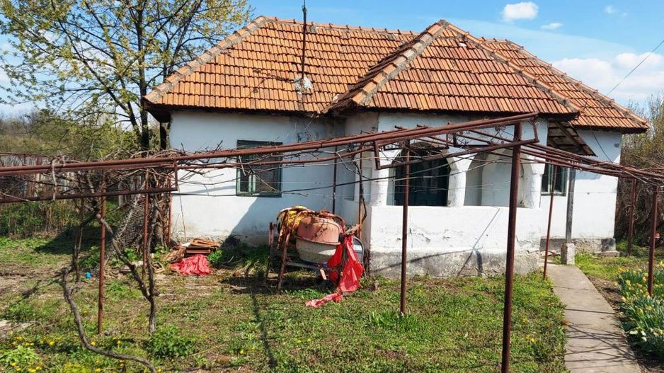 Casă cu hală industrială Drăguțești - Poză 1
