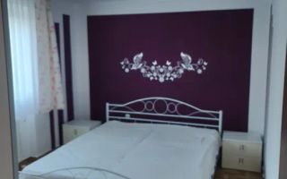 Apartament 2 Camere I Decomandat I Parter I Terezian - Poză 1