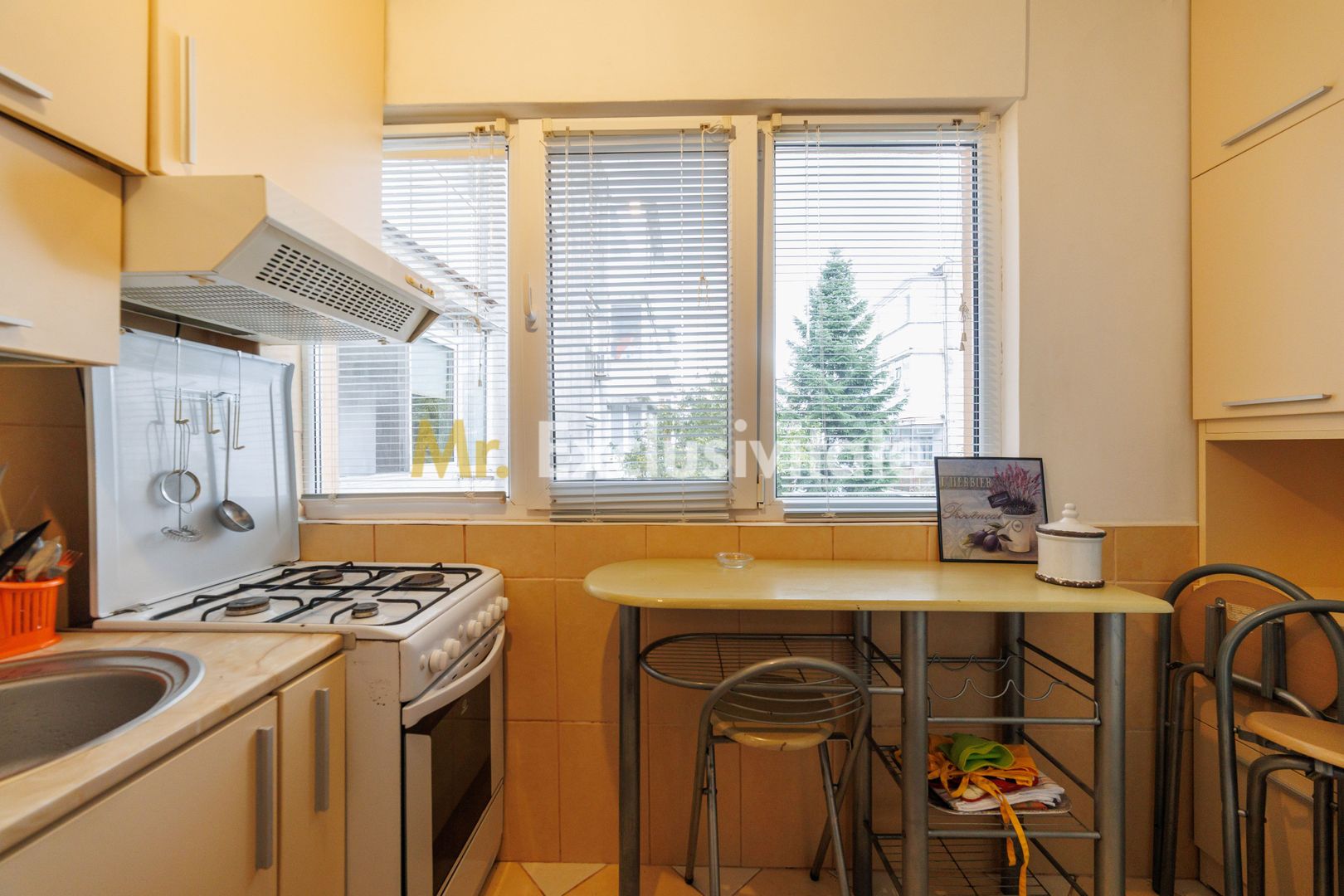 Apartament de inchiriat in Exercitiu etaj 2 - Poză 4