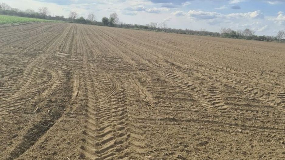 Vand teren extravilan in Martinesti - Poză 2