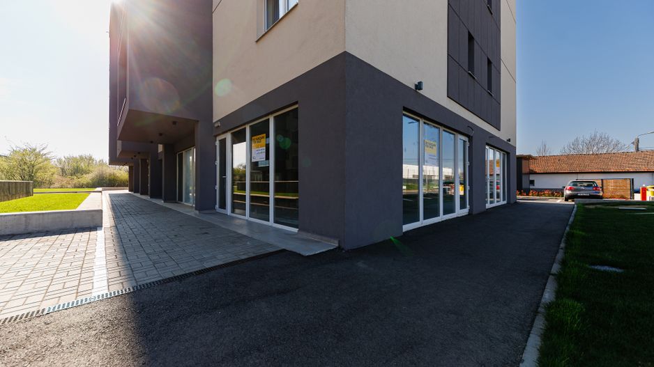 Spatiu Comercial - Aradului - 133 mp - Comision 0% - Poză 2