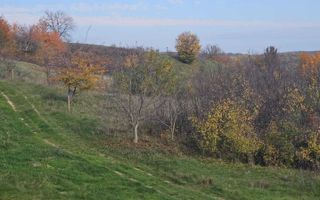 Teren intravilan 18.000 mp, Ciurea – Iași | 13 €/mp | 40 m front stradal la asfalt | Utilități - Poză 5