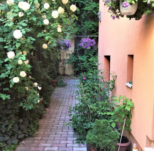 Vila - Piata Dorobanti D+P+E+M, an 2001, 290 mp, renovata - Poză 8