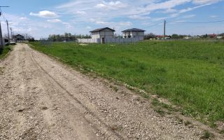 🌿 Teren de vânzare – Răcari, Str. Mestecenilor - Intrarea cu Tei - Poză 8
