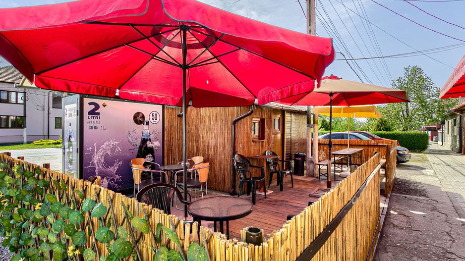 PRET REDUS! Casa la Macea - Poză 10