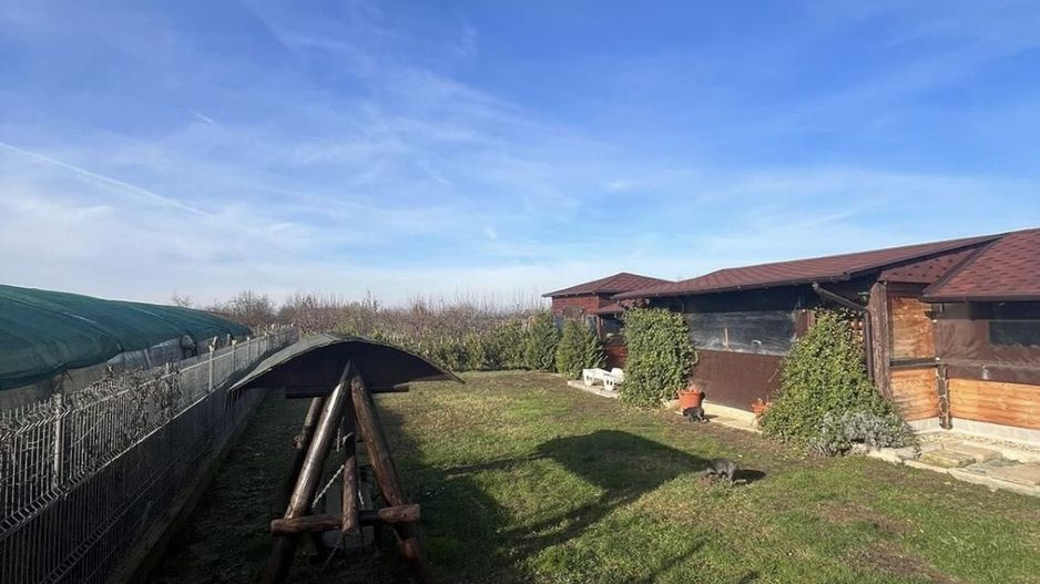 Casa de vanzare - Poză 6