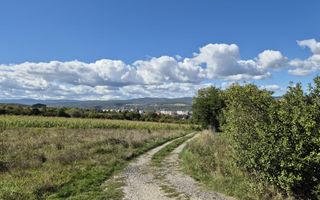 Teren intravilan în zona Lătureni – Buituri, în spatele casei nr. 100! - Poză 7