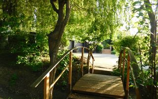 Vilă cu 1.350 mp teren în mijlocul orașului Grădina Botanică - Poză 19