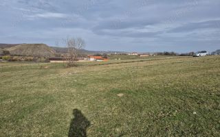 Teren extravilan | Investitie | Orlat - Poză 3