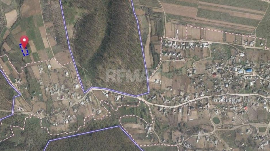 Tabăra/Orhei | 11,62 ari | Teren în inima Codrilor – Ideal pentru evadare în natură sau investiție - Poză 8