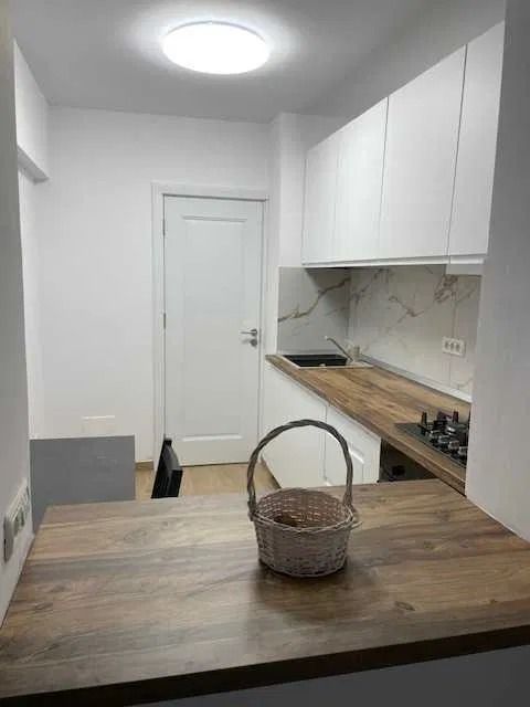 AP. 3 DRUMUL TABEREI, RENOVAT, BUCATARIE INCHISA, MOBILAT MODERN - Poză 7