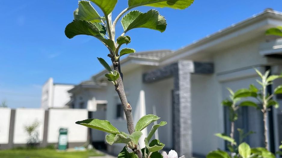 Casă în Clinceni  Ideală pentru Familie - Poză 4