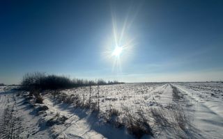 Teren Extravilan | 52 ari | Maneuti | Front 26 m | 55.500 € - Poză 2