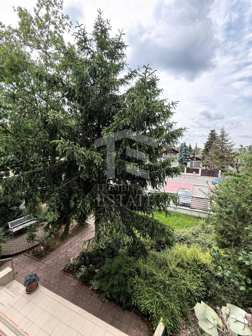 Vila/Spatiu comercial Bd Pipera - Poză 4