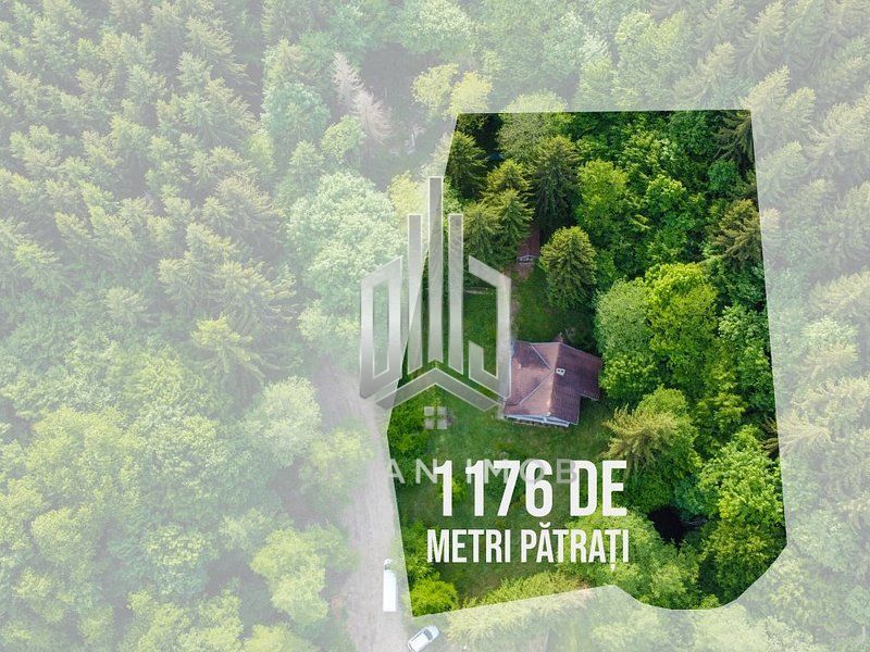 Vilă cu 4 camere | Valea Crișului | COMISION 0% - Poză 3