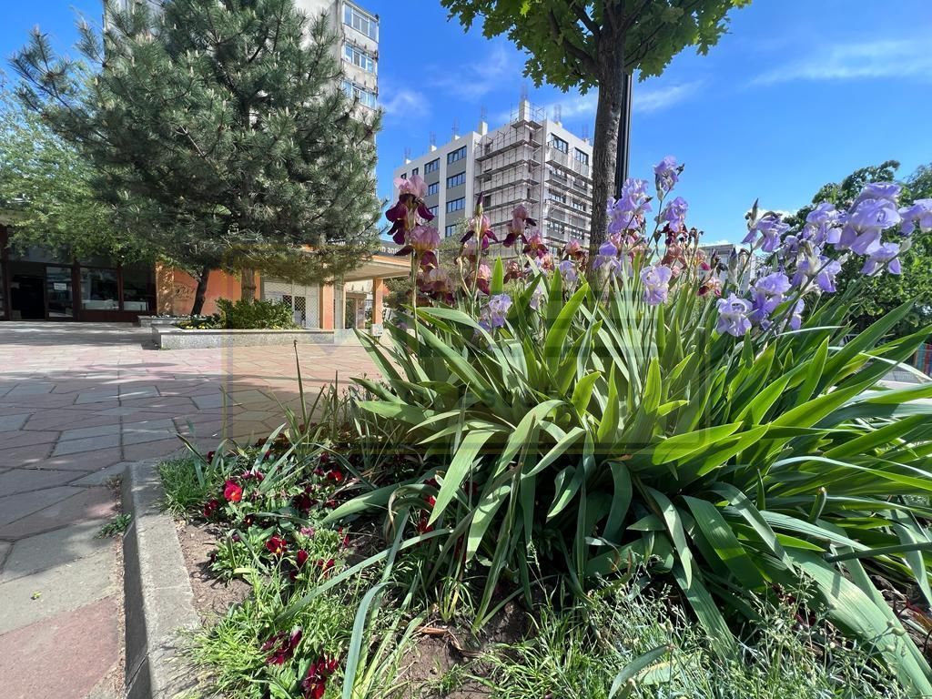 Apartament 1 camera Tatarasi - Esplanada Oancea - Poză 1