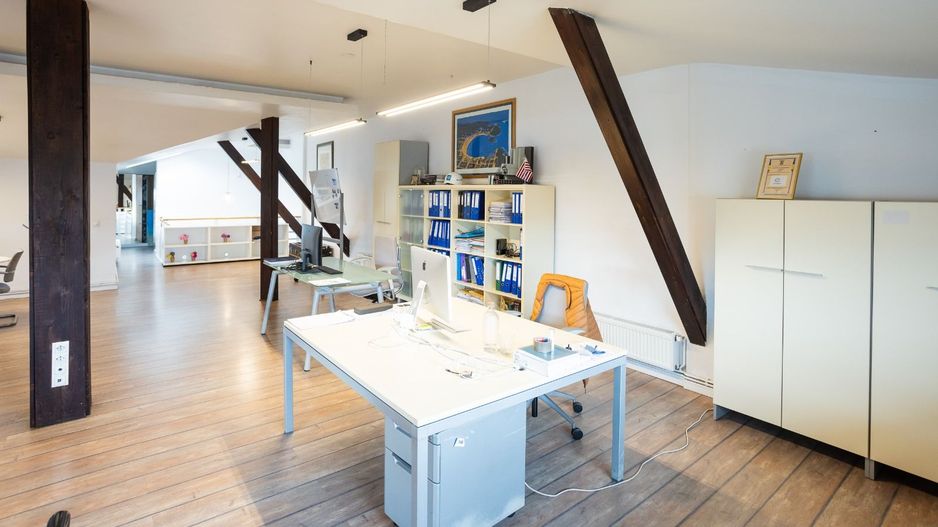 Vila spatioasa | Zona Domenii - Poză 21