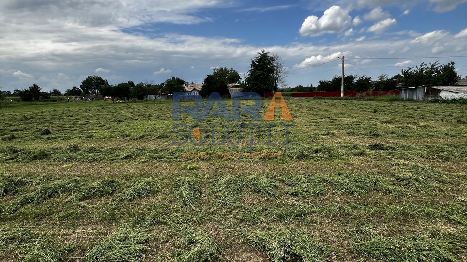 Casă cu 3500 mp teren, Sat Miron Costin - Brănișteni (str. Macilor) - Poză 12