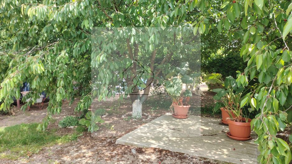 Casa Ciocanesti Cretu - 2 camere cu teren 2539 mp  - Jud. Dambovita - Poză 43