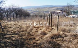 CASA Iasi_TOMESTI_CHICEREA +3812 mp teren intravilan # - Poză 8