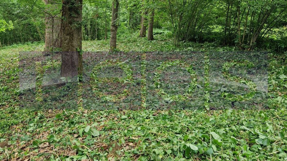 OPORTUNITATE- VANZARE- TEREN LAC  SNAGOV 1300mp - Poză 2