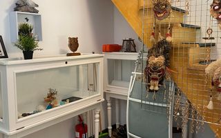 Vanzare Pensiune , Casa ,  Rezervatia Piatra Craiului / Satic, Arges - Poză 20