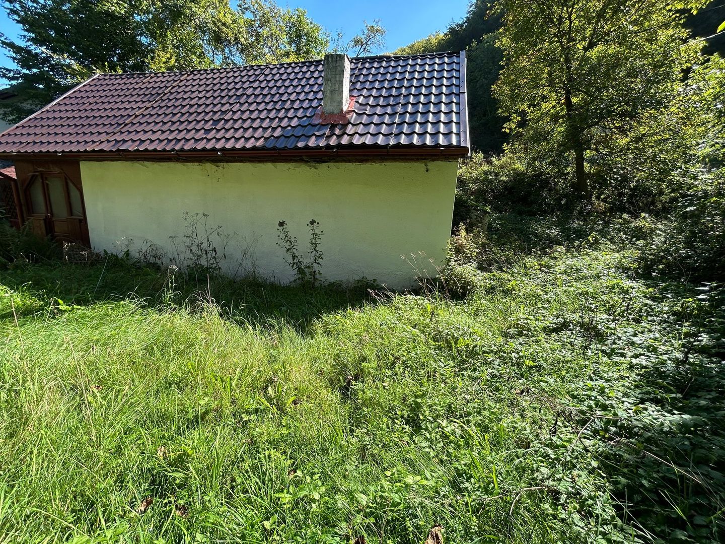 Cabana de vanzare, Valea Manastirii - Ramet - Poză 9