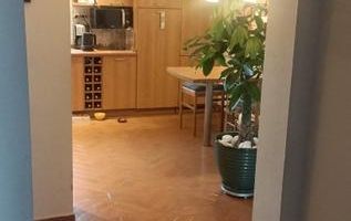 De vanzare apartament 3 camere, Marriott/Panduri/13 Sept - Poză 8