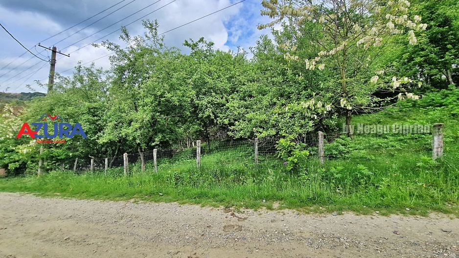 AZURA Imobiliare - Vila la 5 km de Curtea de Arges - Poză 33