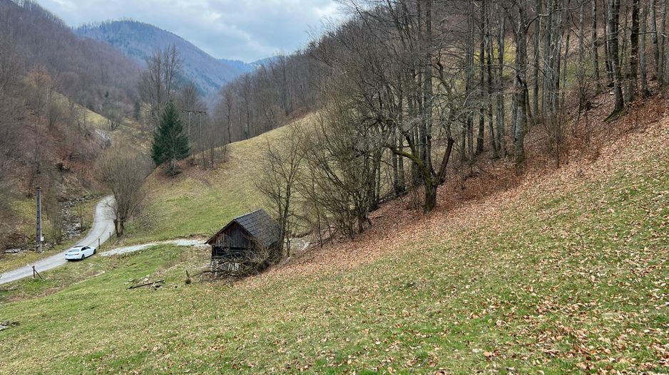 Teren intravilan 1.28ha Remeti–perfect pensiune/cabane, zonă turistica - Poză 4