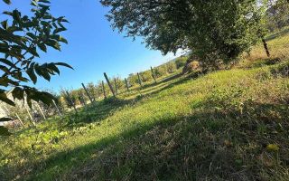 Teren intravilan de vânzare în centrul comunei Bârnova, Iași - Poză 4