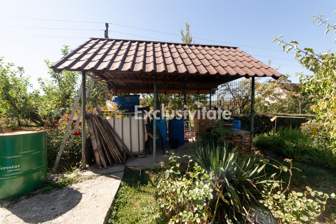 Casa visurilor cu 4000 mp livada roditoare si gradina Darmanesti-Arges - Poză 26