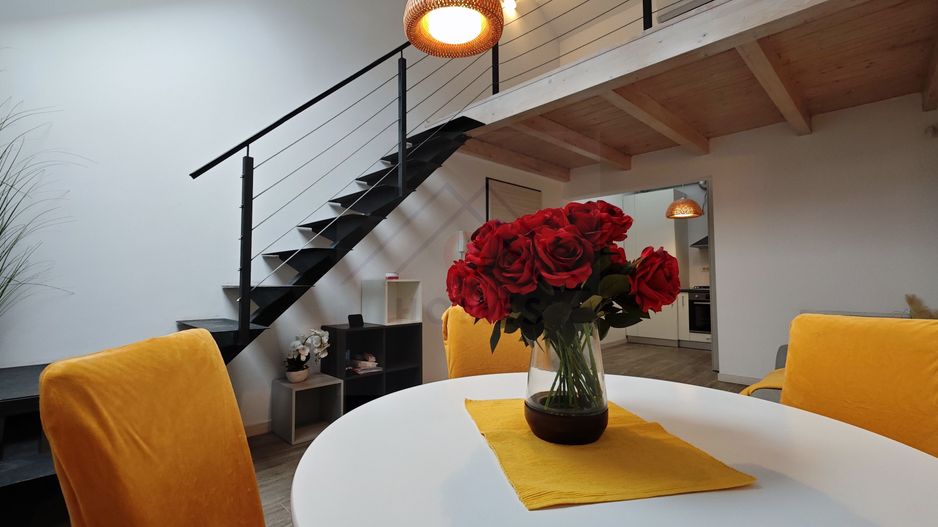 Apartament “de revista”, la casa in Elisabetin- zona consulatelor. - Poză 22