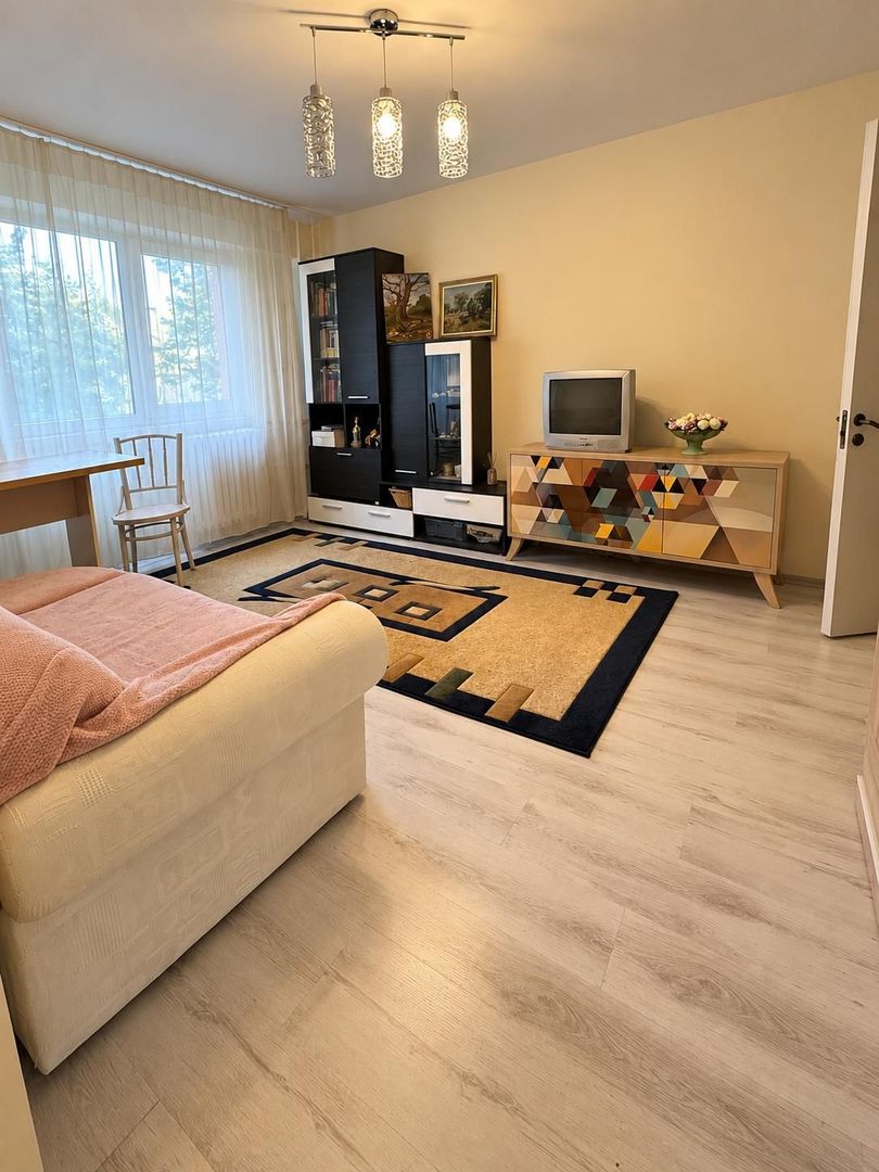 Apartament 2 Camere- Intrarea Dr.Felix - Poză 3