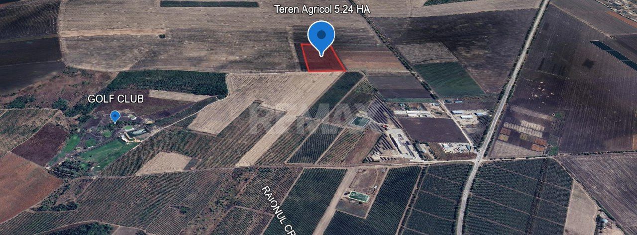 Teren Agricol 5.24 HA com. Cruzești mun. Chișinău - Poză 3