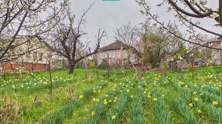 Ieftin - Casă cu teren 842mp, zona Dealuri, Oradea - Poză 15