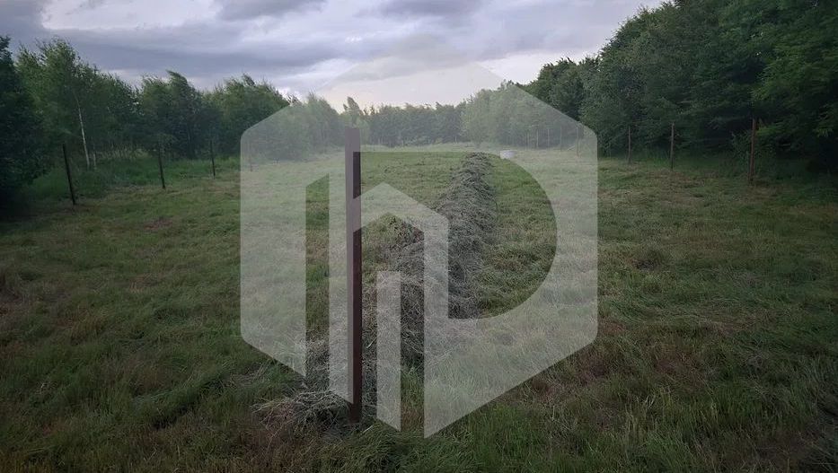 Teren | Intravilan | Valea Avrigului | Autorizatie | 2000mp | Fantana - Poză 1