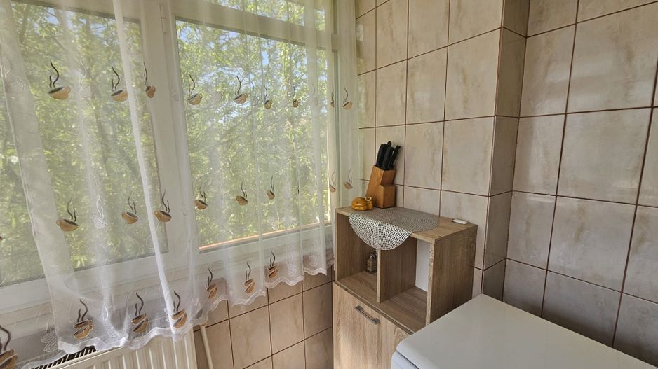 Apartament 2 camere Central - Eremia Grigorescu - Poză 6