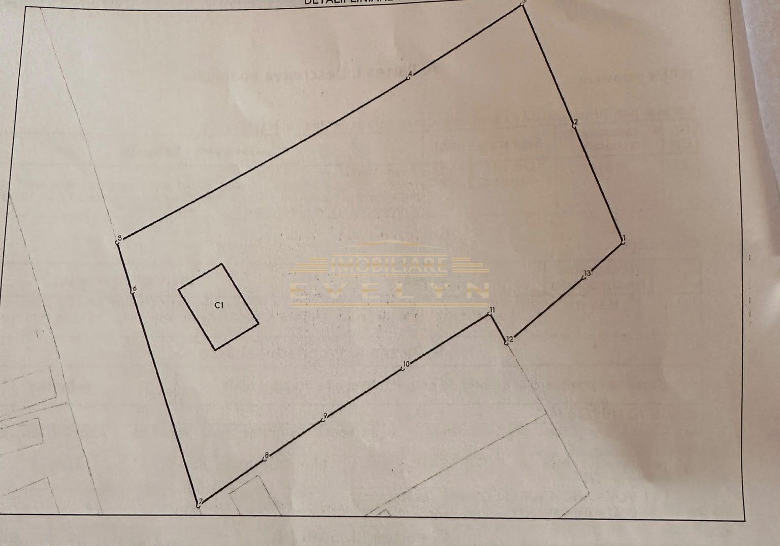 Teren intravilan de vânzare – Comuna Corni | 3.732 mp | - Poză 1