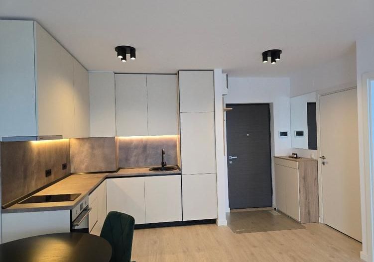 Prima Inchiriere 2 cam Mobilat Vedere spre padure Baneasa Greenfield - Poză 6