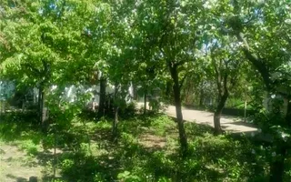 Vila 9 camere***gradina cu pomi fructiferi//1085 mp teren***Dragomiresti-Deal - Poză 17