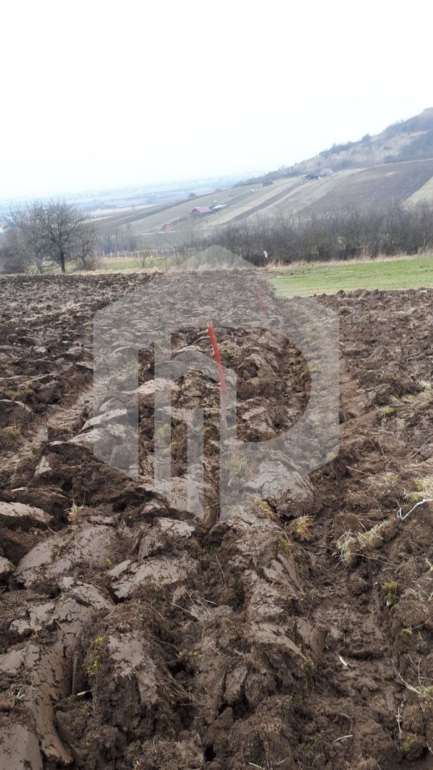 Teren de Vanzare - Gusterita - 5100mp - Intravilan - 0% Comision - Poză 5