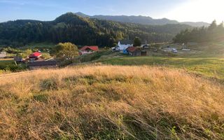 Teren Intravilan 1000mp-panorama-oportunitate investitie-Colibita - Poză 3