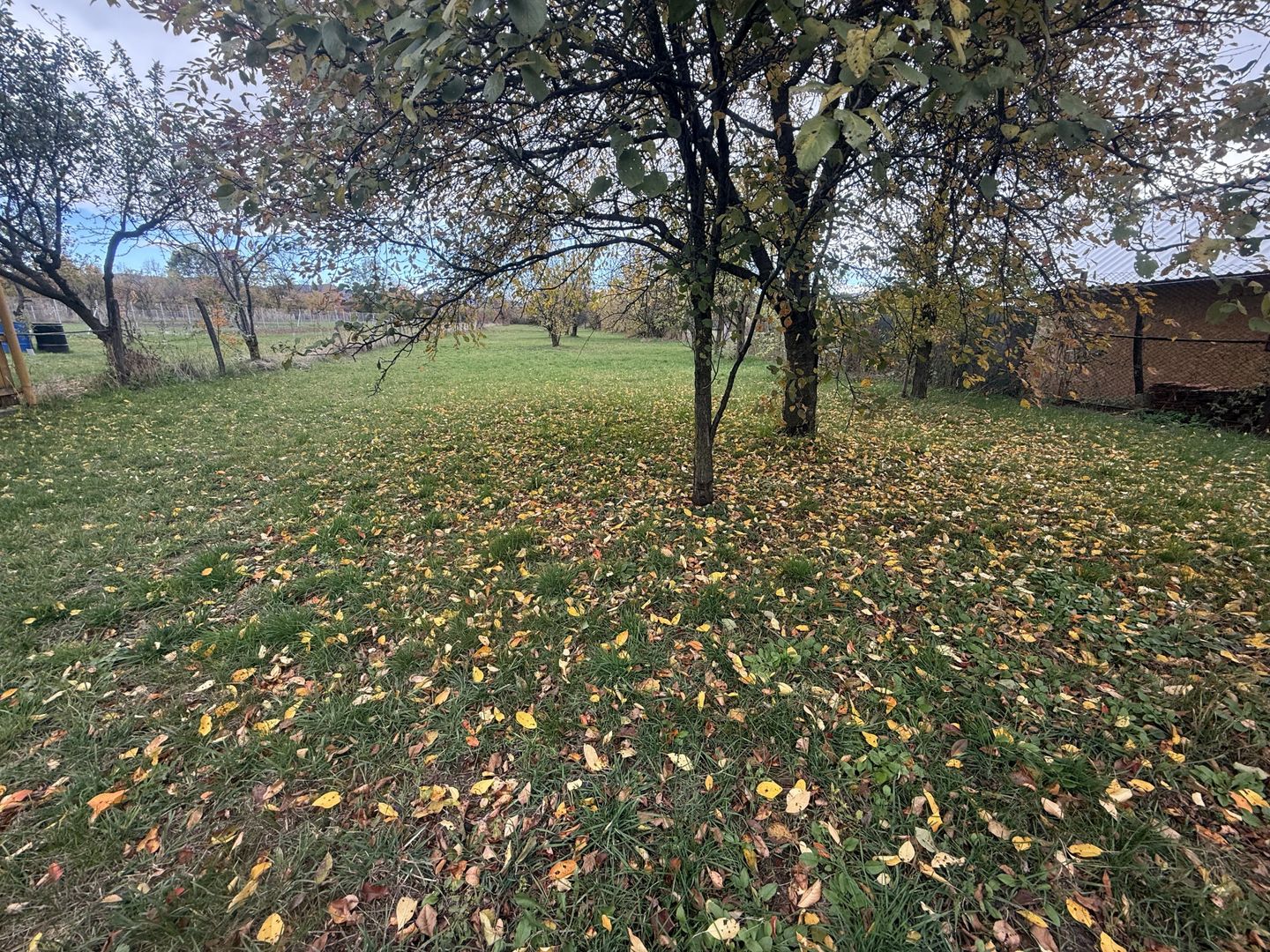 Teren intravilan împrejmuit 2331 mp la strada, toate utilitățile! - Poză 8